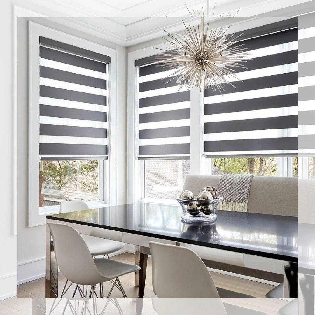 Zebra Window Blinds